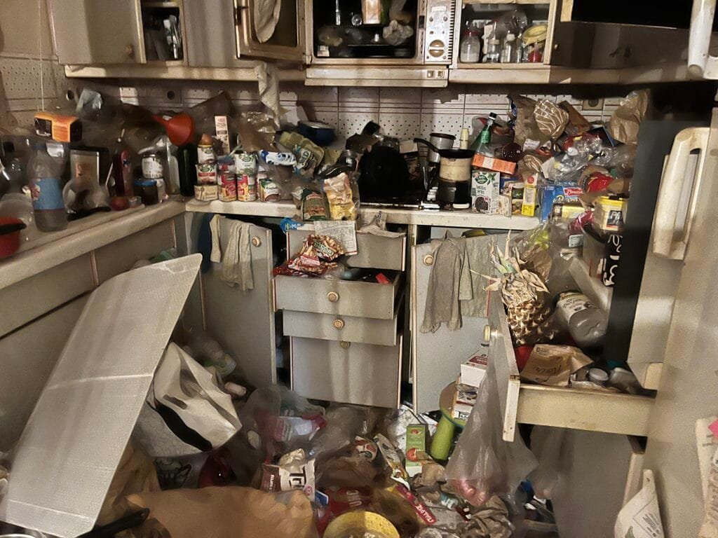 Nettoyage Syndrome de Diogène à Lyon